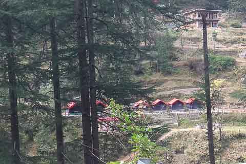 Pine Wood cottage jibhi himachale pradesh